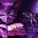 Crocbooks